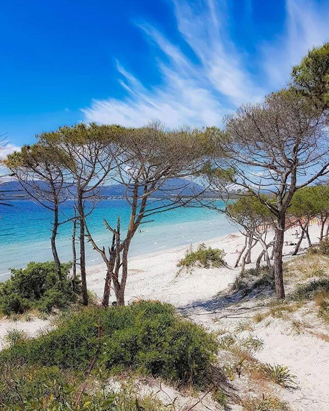 Sole Daire Alghero Dış mekan fotoğraf